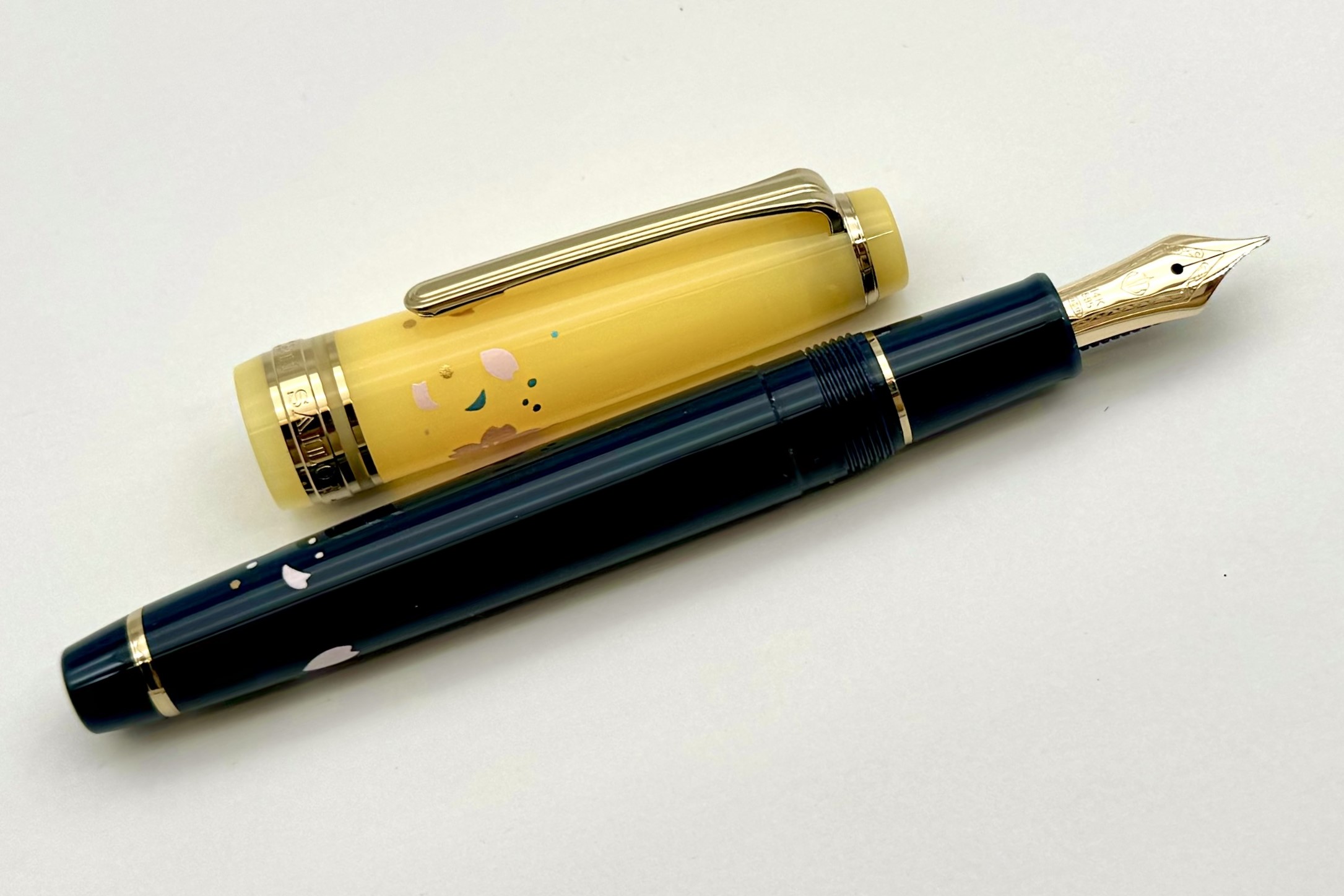 SailorProGearSlimPrincessRadenOchikuboFPSpecialPackageSet_E